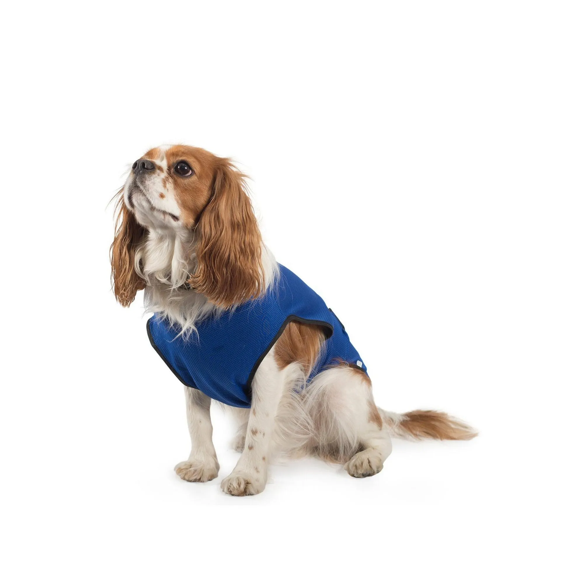 Ancol 60cm Cooling Dog Vest- X-Large