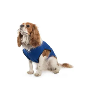 Ancol 60cm Cooling Dog Vest- X-Large