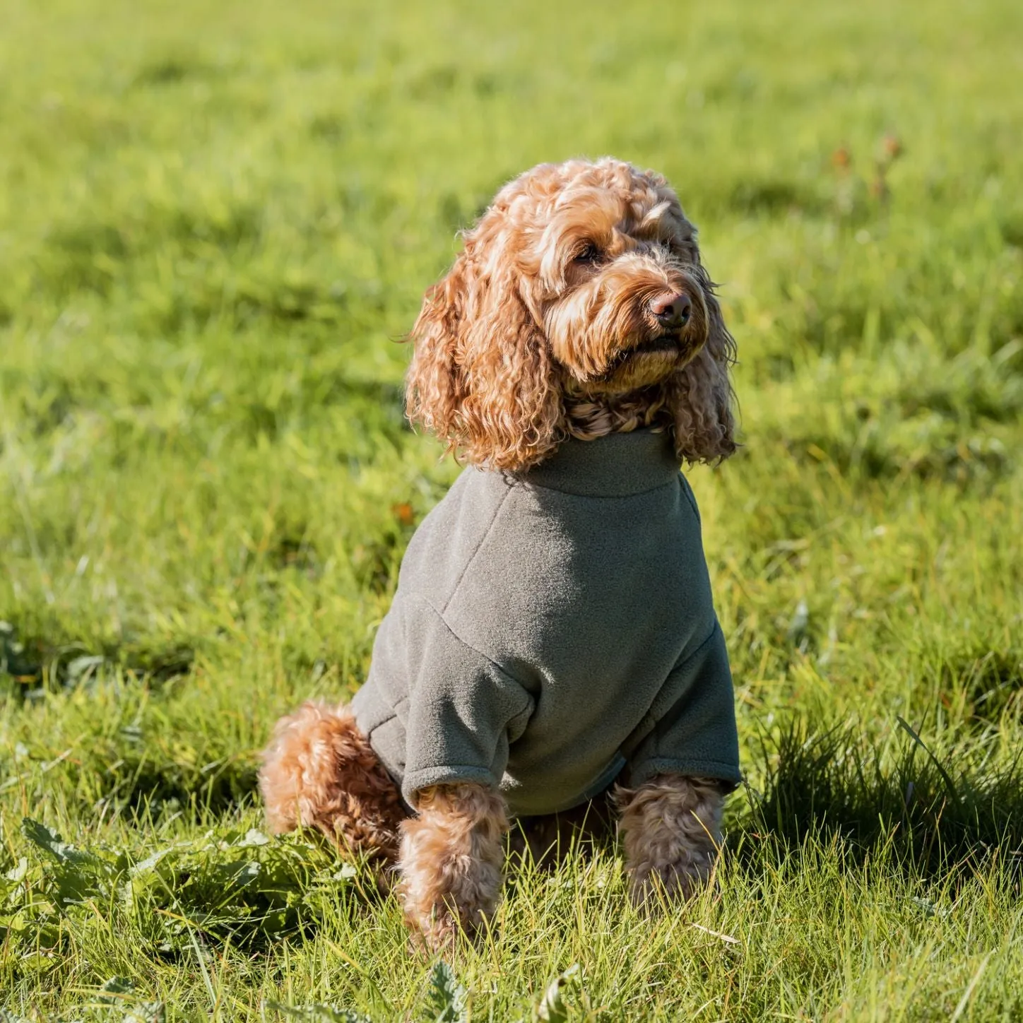 Stix Waterproof Fleece Coats for Labradors